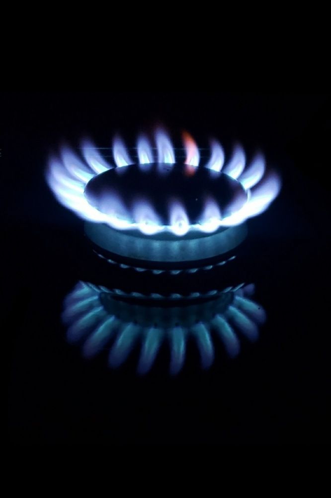 Photograph by Dennise Treijs