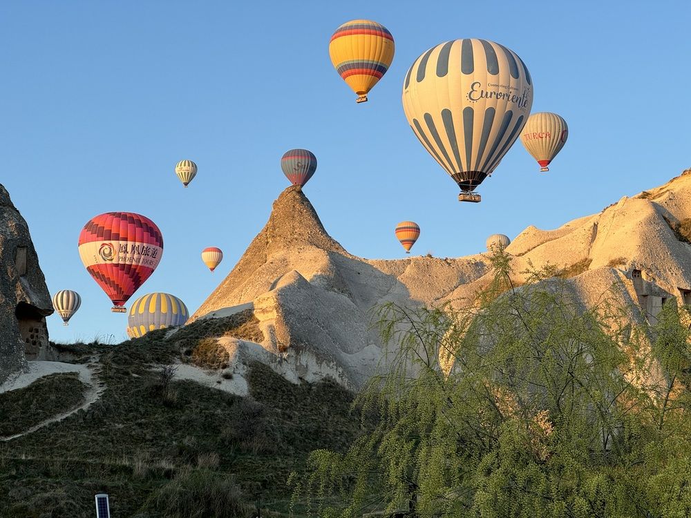 Фотография автора Ольга Горюнова