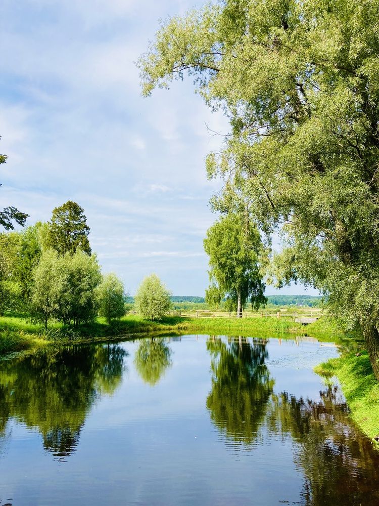 Photograph by Светлана