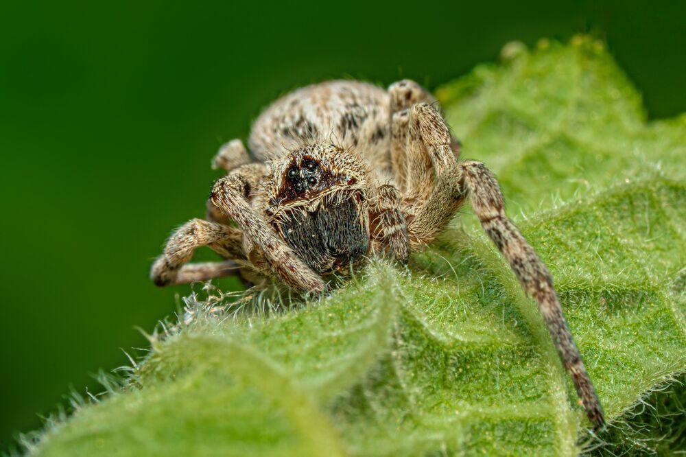 Photograph by mahadevan Arige