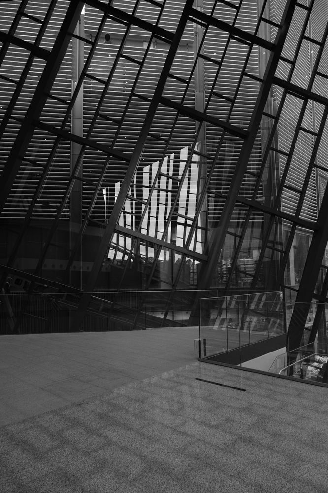 Фотография автора radzi fotonova