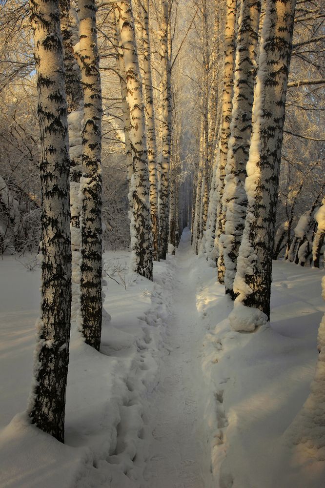 Photograph by Алексей Хахлов