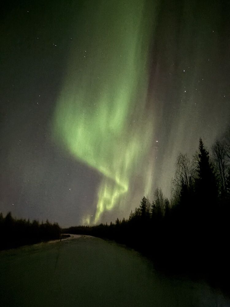 Photograph by Jorge Silva Romualdo