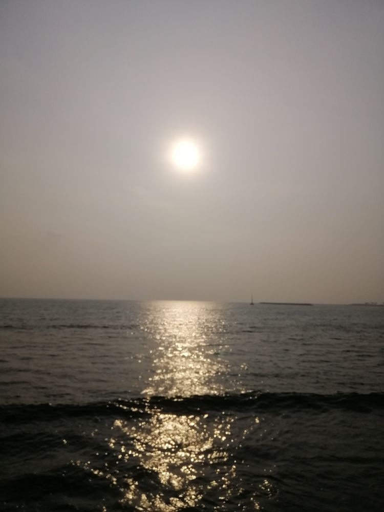 Photo #11949032
