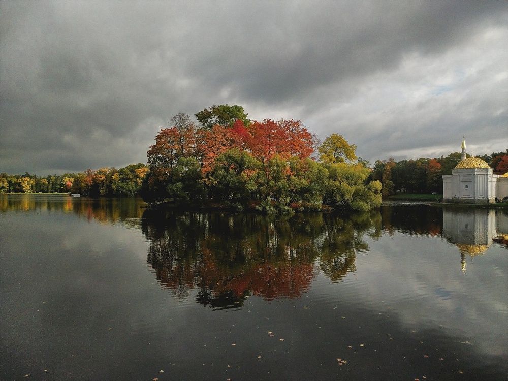 Фотография автора Дарья Обидина