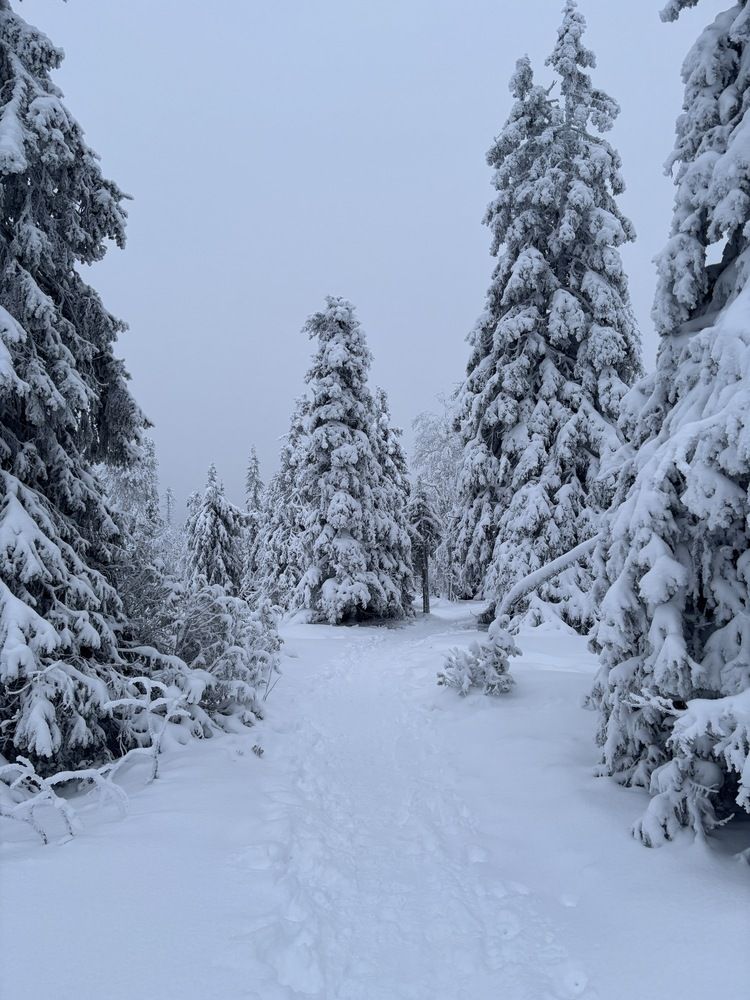 Photograph by Jorge Silva Romualdo