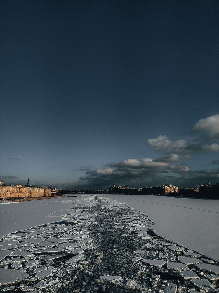 Фотография автора Дарья Обидина