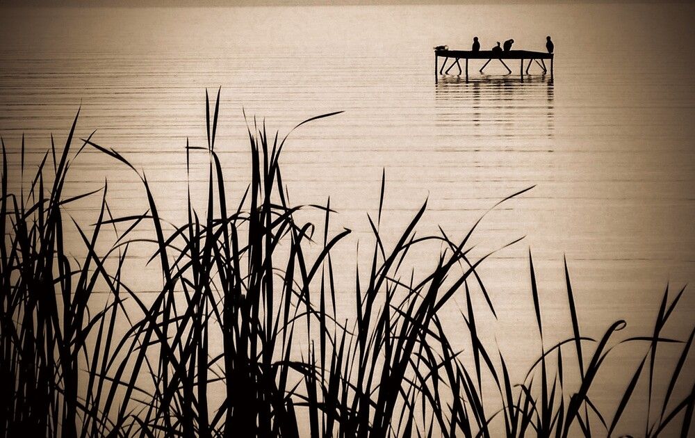 Photograph by Aleksandr Barsukov