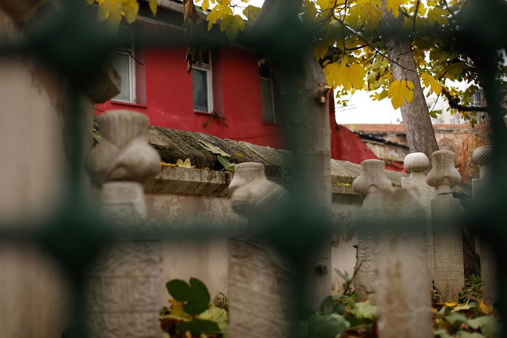 Фотография автора Татьяна Васильева