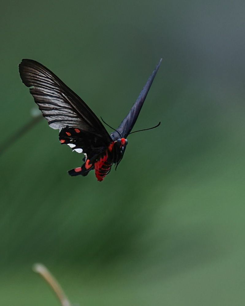 Photograph by Arnab Sarkar