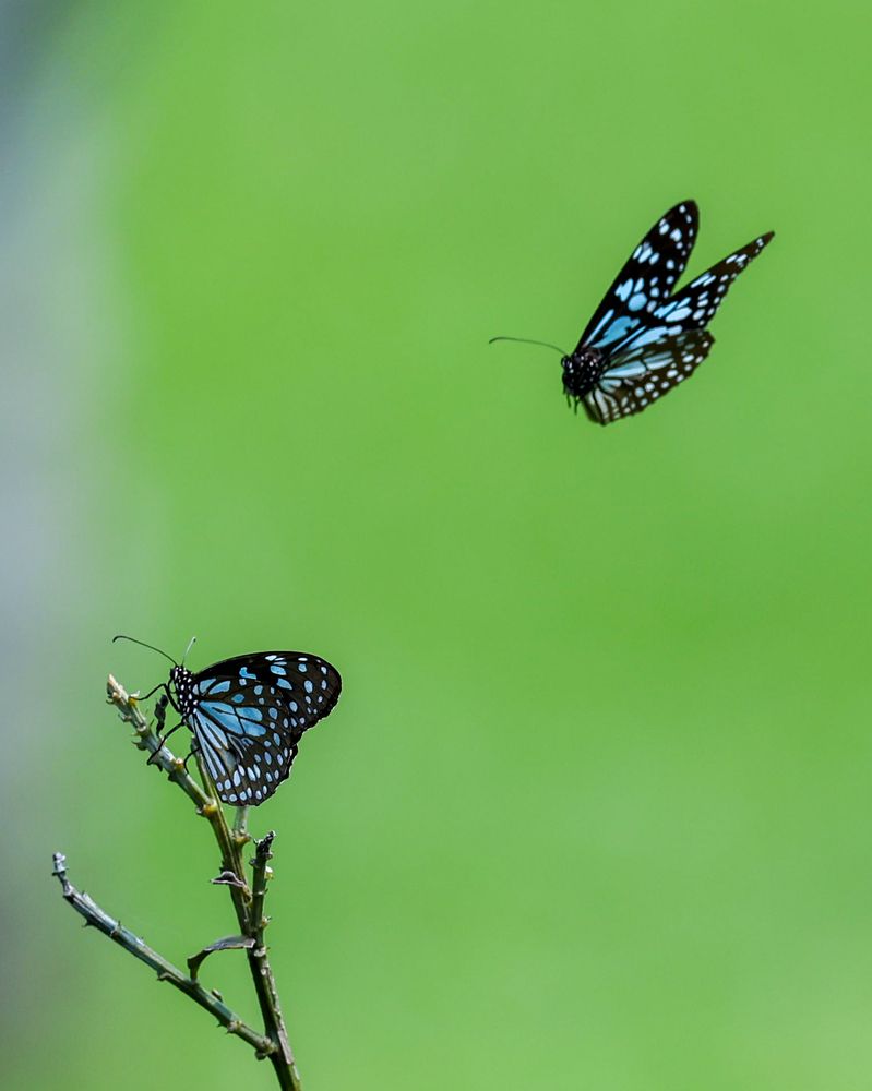 Photograph by Arnab Sarkar