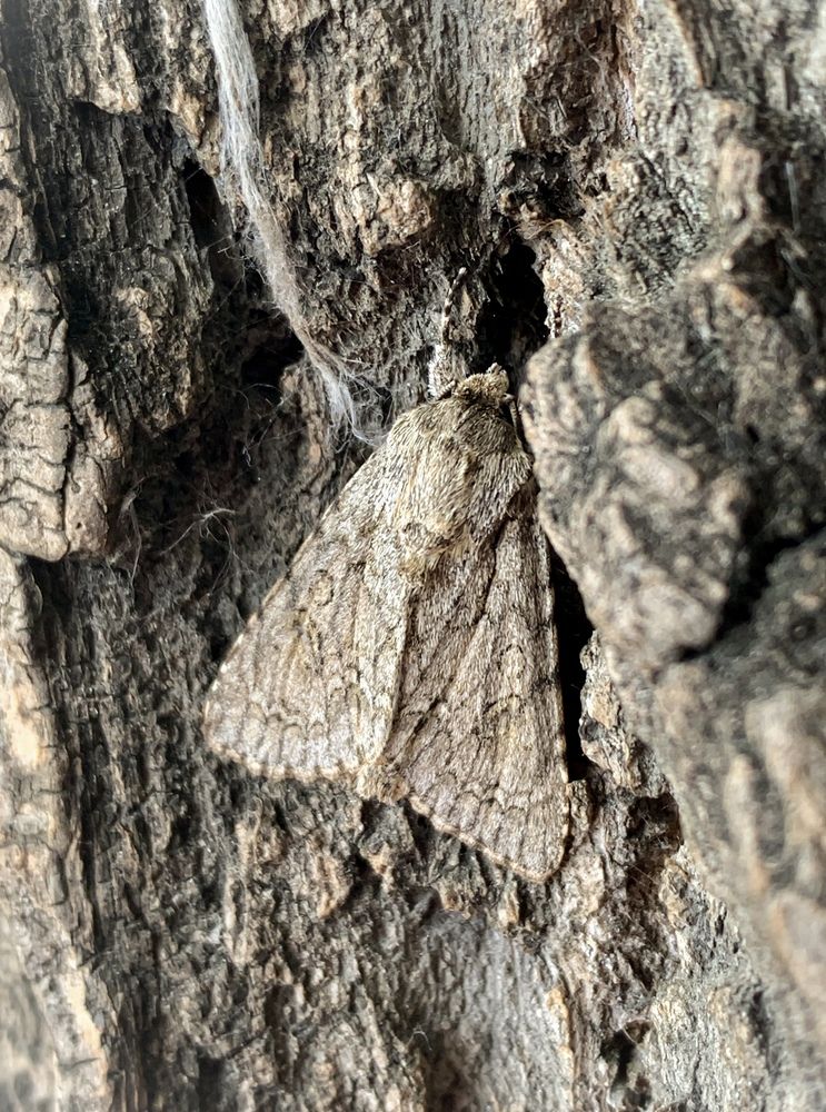 Photograph by Анна Потапова