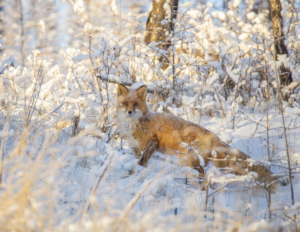 Photograph by Попов Альберт