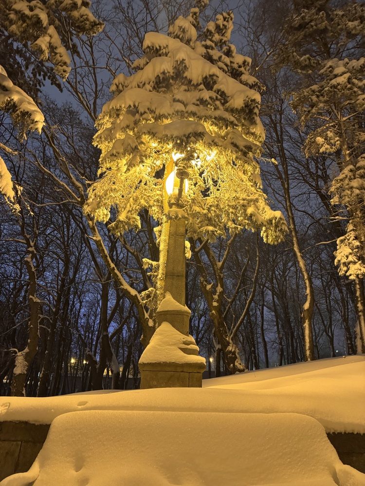 Photograph by Бойкова Наталия