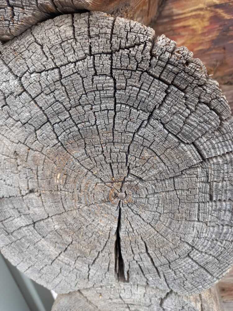 Photograph by Татьяна Иванова - Трускова