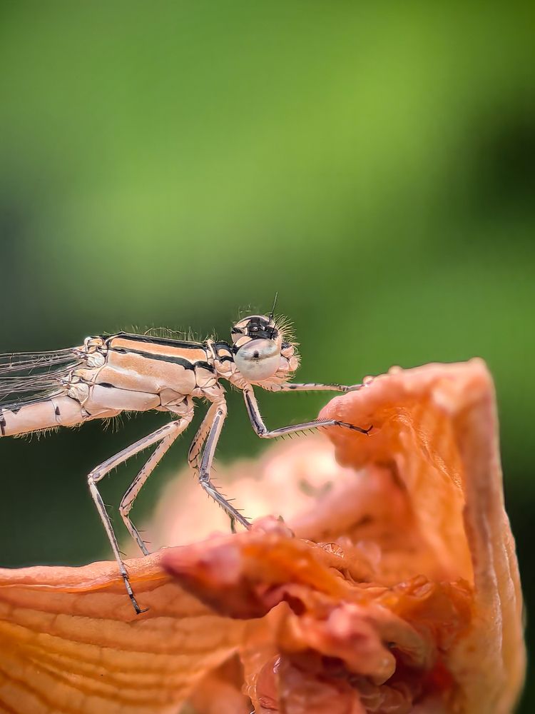 Фотография автора Юра Кладухин