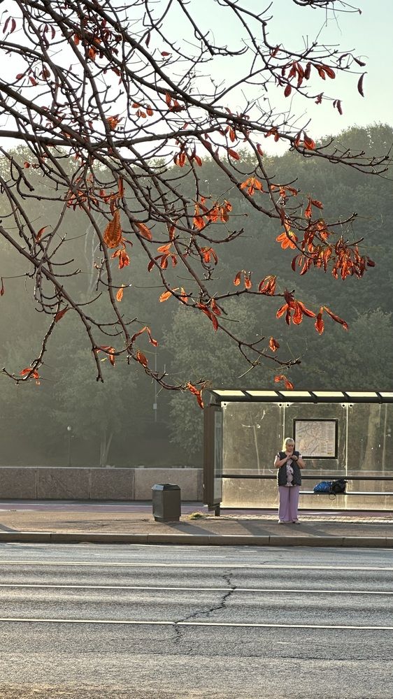 Photograph by Светлана