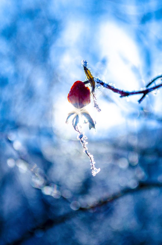 Photograph by Любовь Бусова