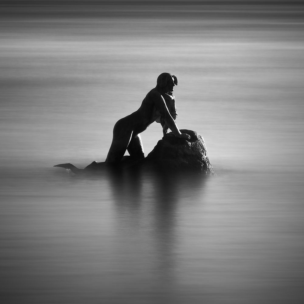 Photograph by Паниковский Виктор