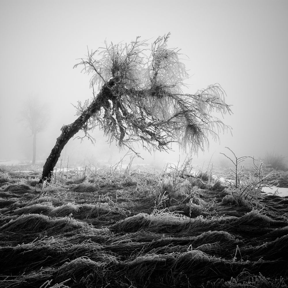 Photograph by Паниковский Виктор