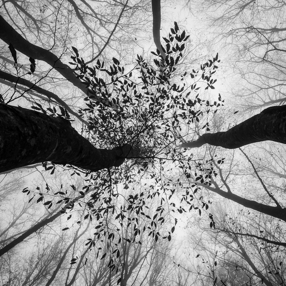 Photograph by Паниковский Виктор