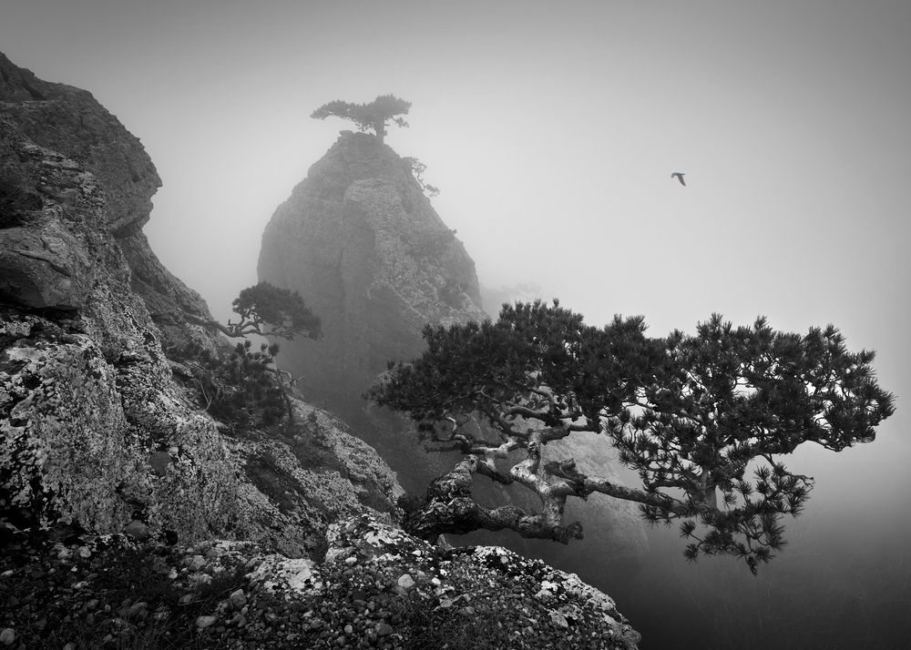 Photograph by Паниковский Виктор