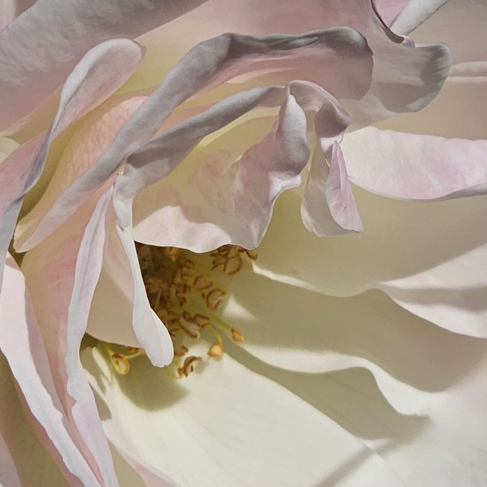 Photograph by Angelika Sokolova