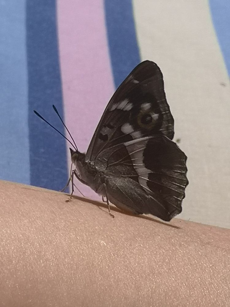 Фотография автора Rasa Zdaniene