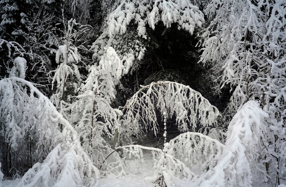 Photograph by Измаил Ефимов