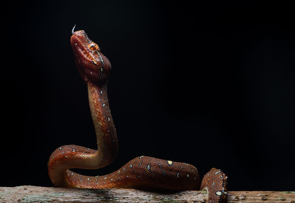 Photograph by Nanthakumar K Nallvan