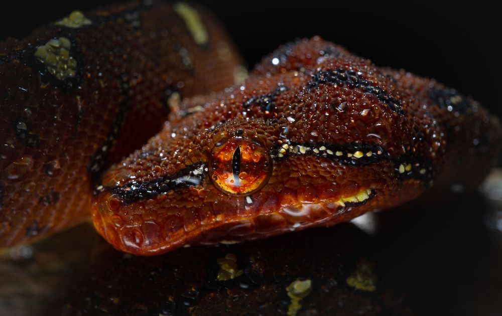 Photograph by Nanthakumar K Nallvan