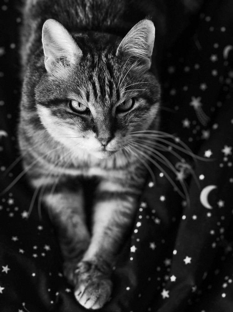 Photograph by Tatiana Shtun