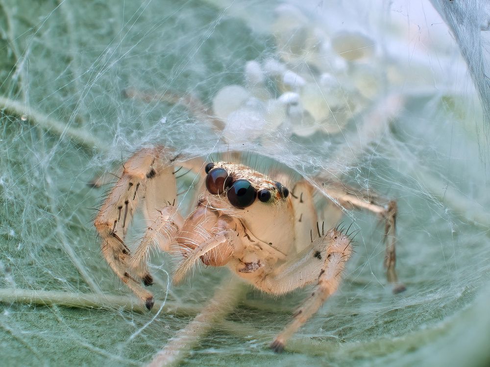 Photograph by Li Chen-You