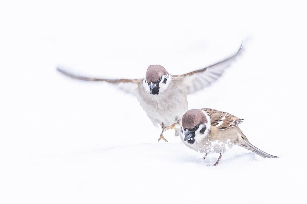 Photograph by Александр Щербаков