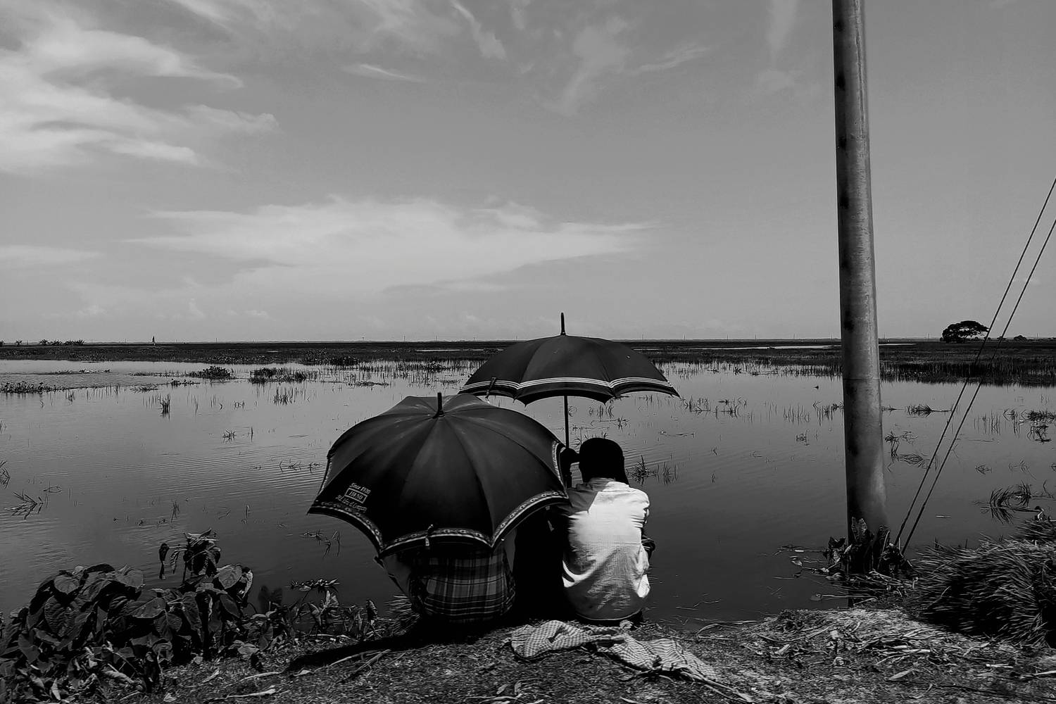 Whispers of Silence: A Timeless Reflection