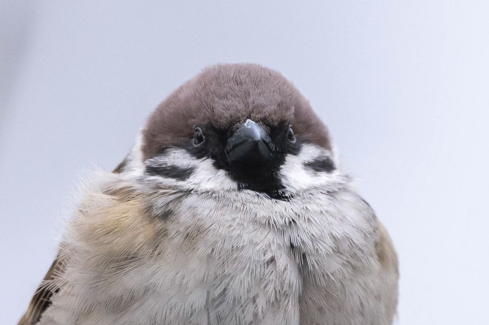 Photograph by Александр Щербаков