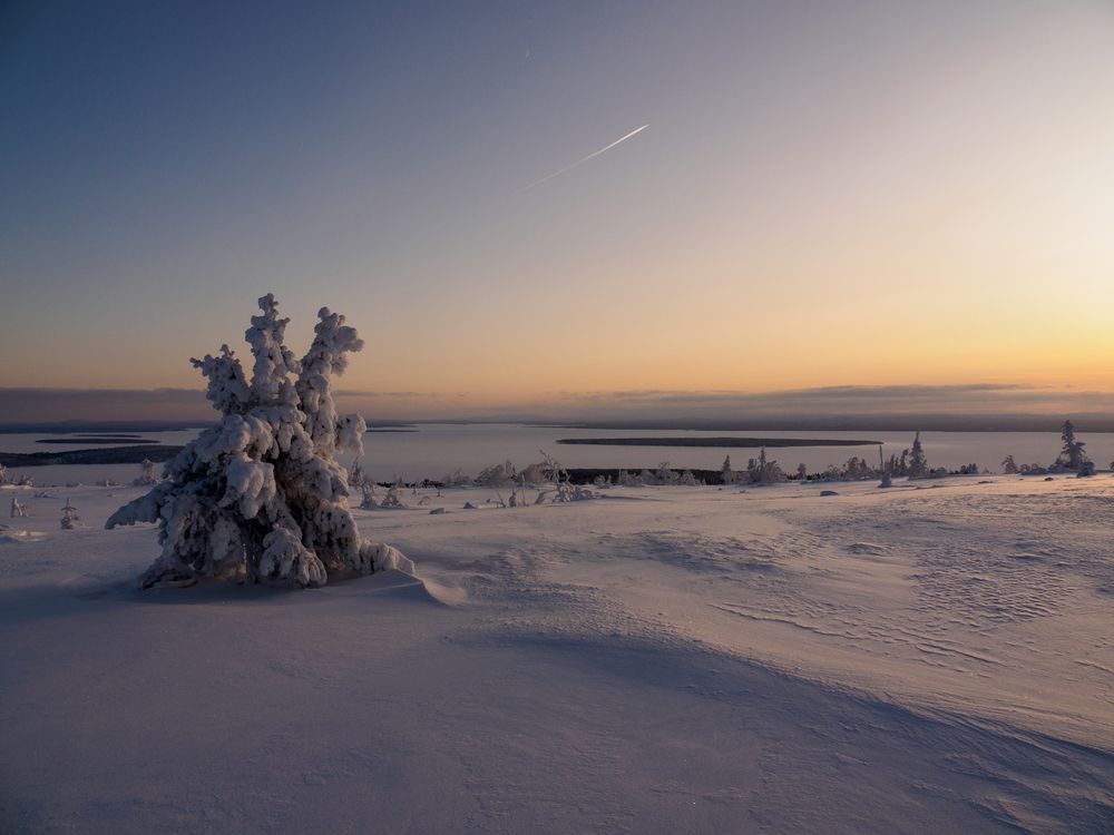 Photograph by Шейко Анна