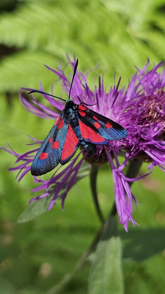 Photograph by Svetlana Stenkina