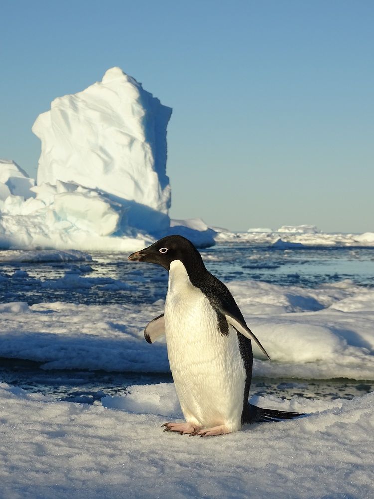 Photograph by MAKSIM MARKOV