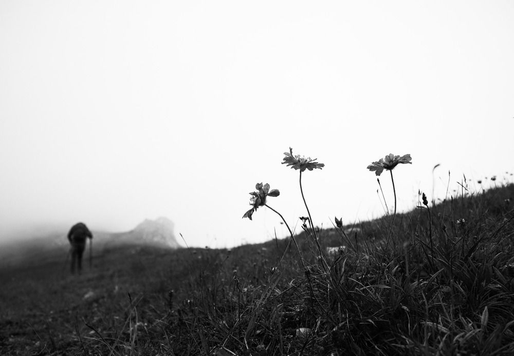 Photograph by Ирина Корабельникова