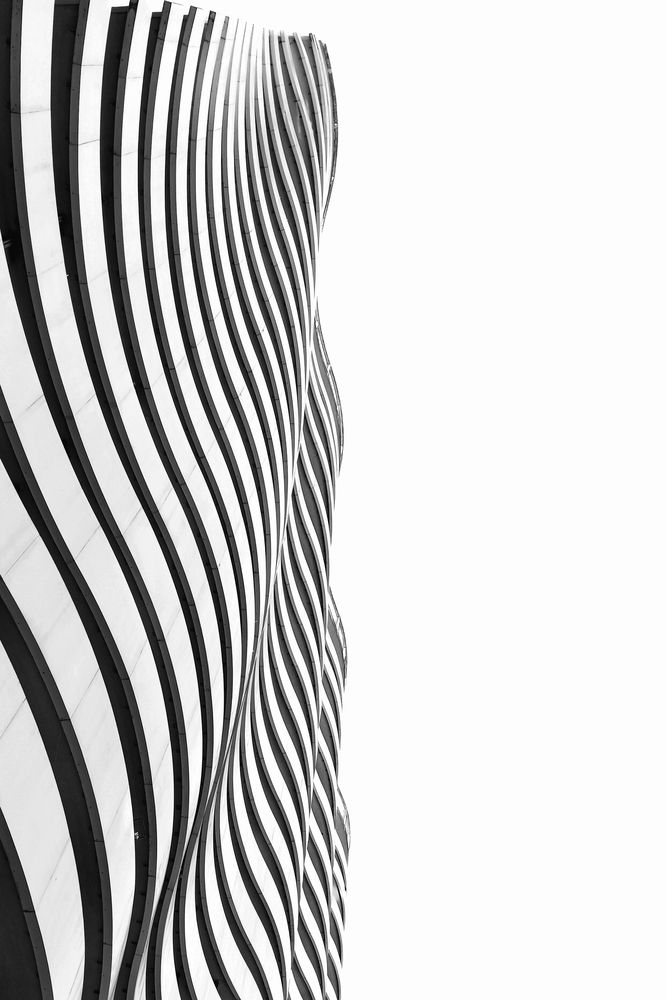 Фотография автора Larisa Meshkova