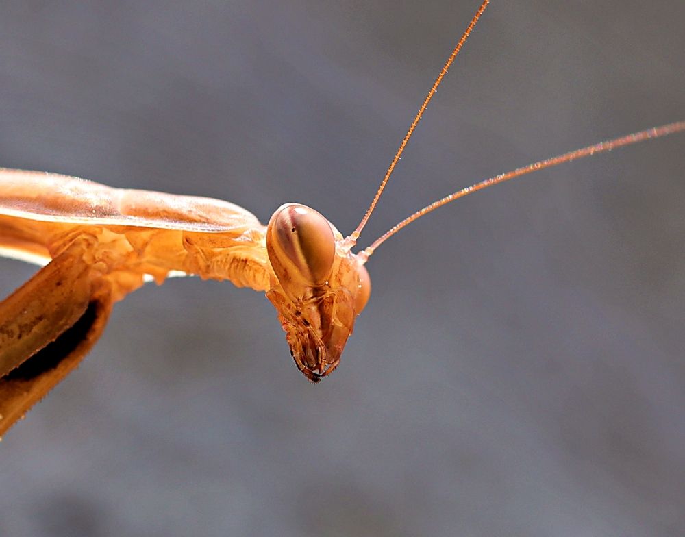 Photograph by Vjekoslav Hrman