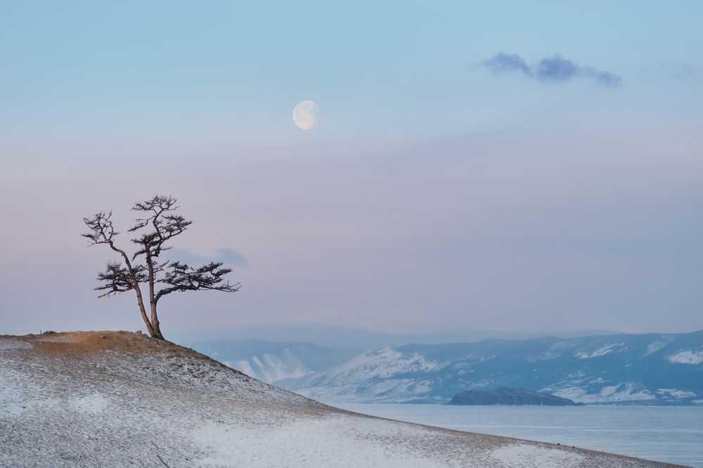 Photograph by Ирина Бородина