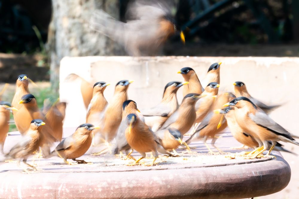 Photograph by Latheef M A