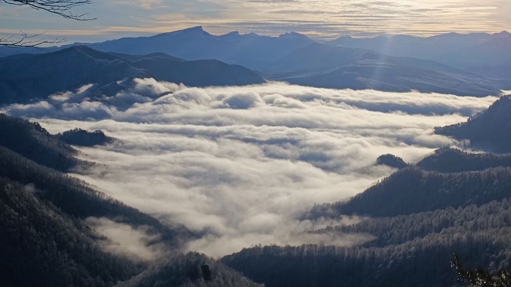 Photograph by Виталий Мартынов