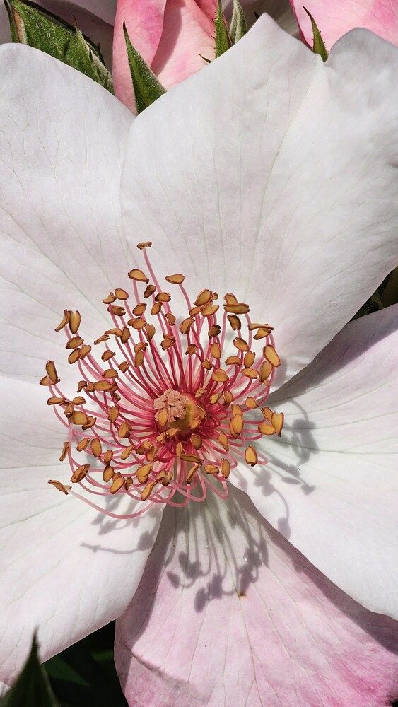 Photograph by Svetlana Stenkina