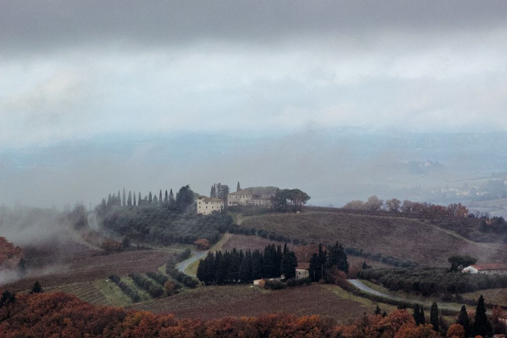 Photo #11949794