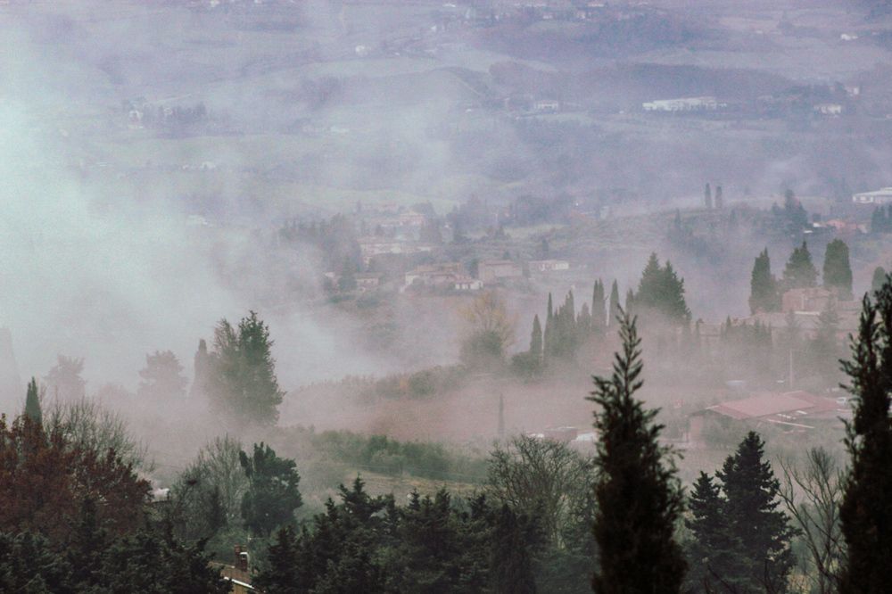 Photo #11949796