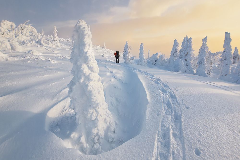 Photograph by Kozlov Sergey