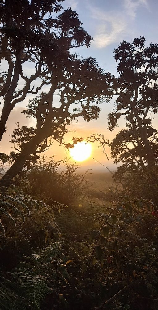Photograph by Thilantha Abeysinghe